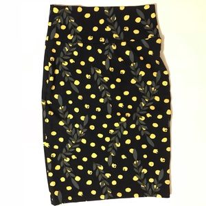 LuLaRoe Cassie Skirt XS/Size 4